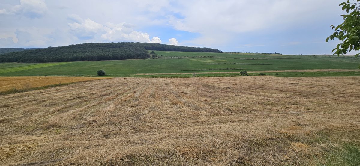 Teren agricol - in suprafata de 4100 MP 1