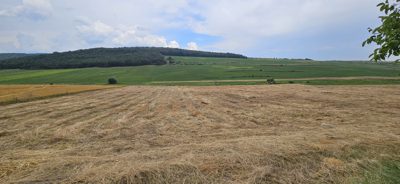 Teren agricol - in suprafata de 4100 MP