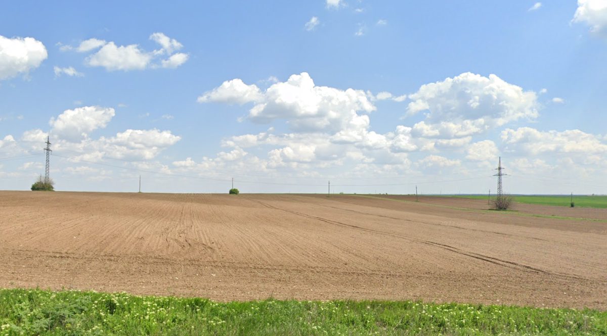 Teren agricol - in suprafata de 2500 MP 1