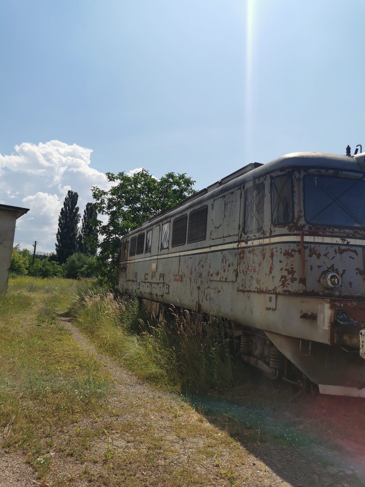 Miniatură 3