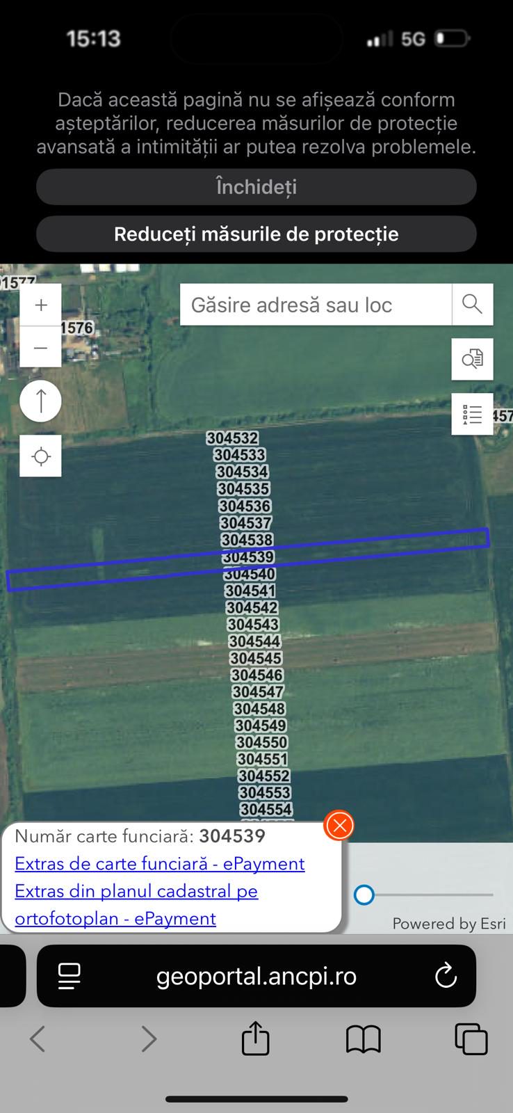 Miniatură 6
