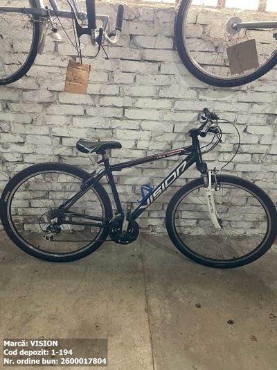Bicicleta- Vision