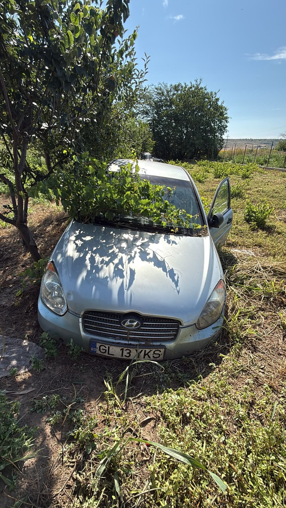 Miniatură 2