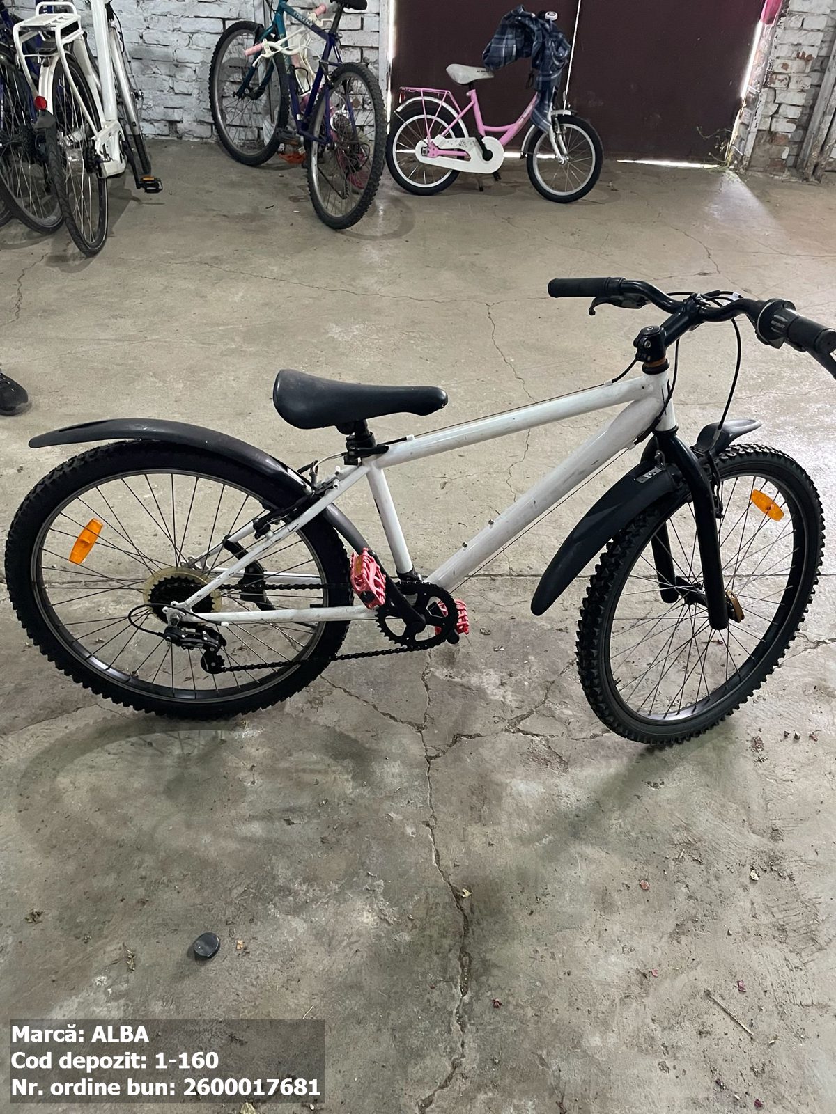 Bicicleta Alba 1