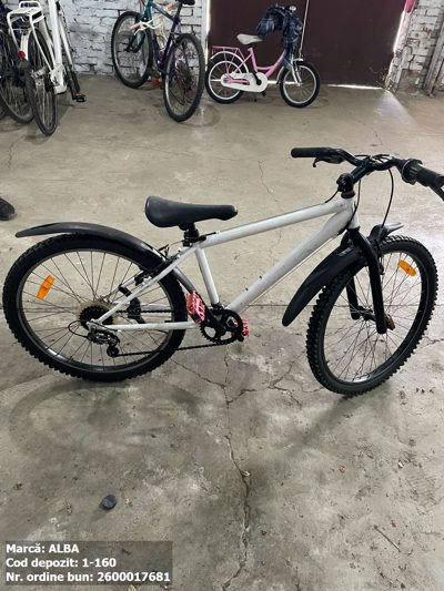 Bicicleta Alba