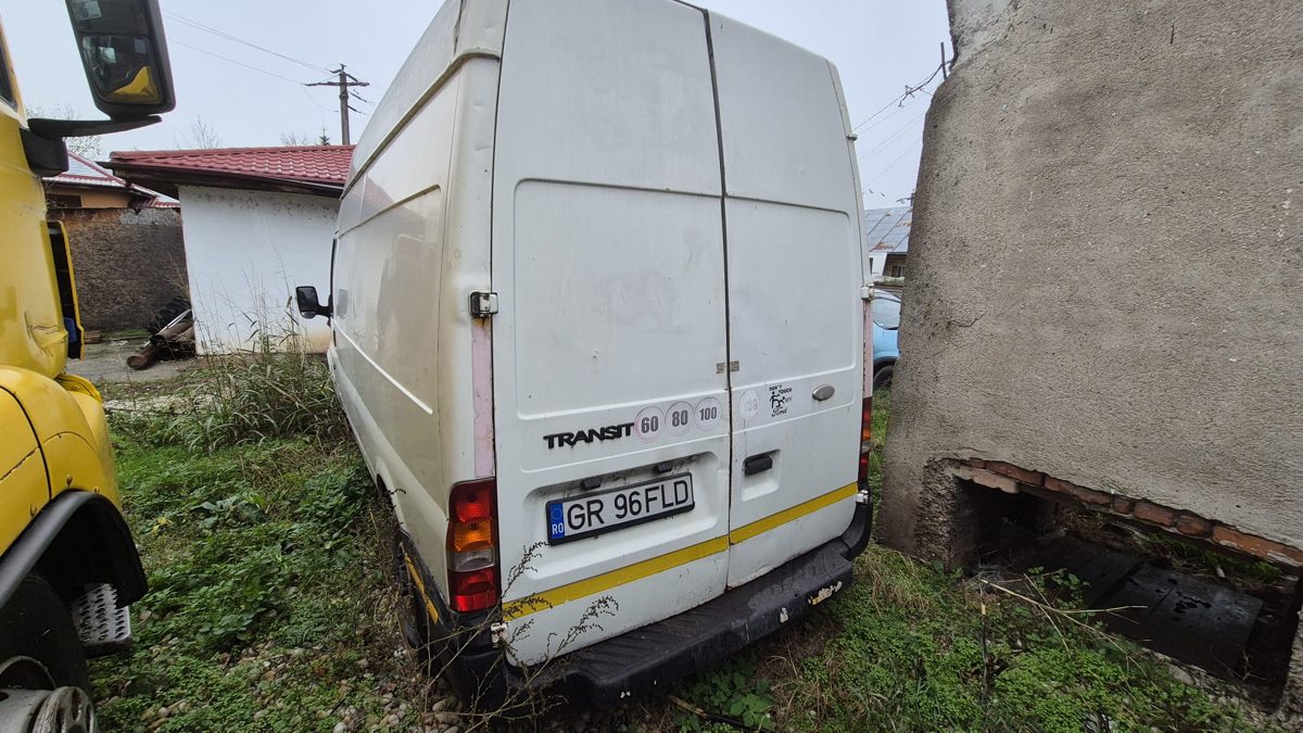 Miniatură 6