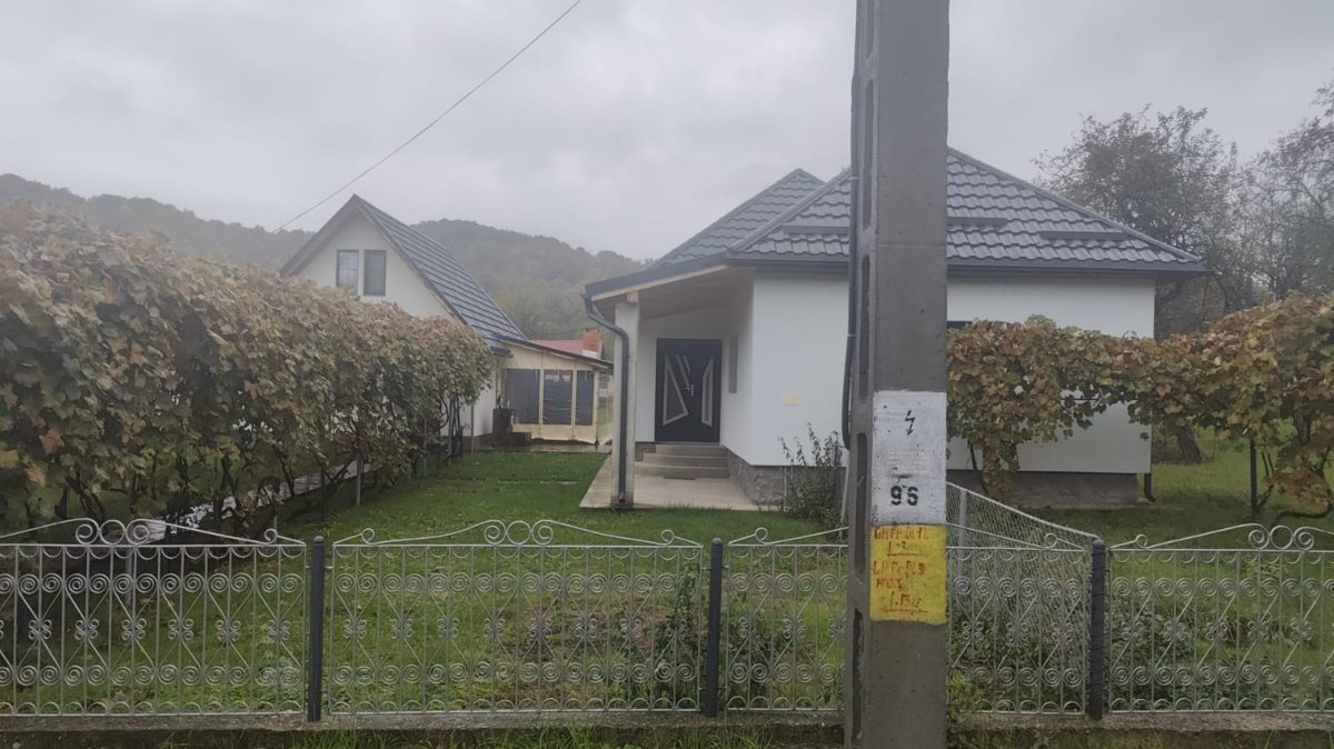 Miniatură 2