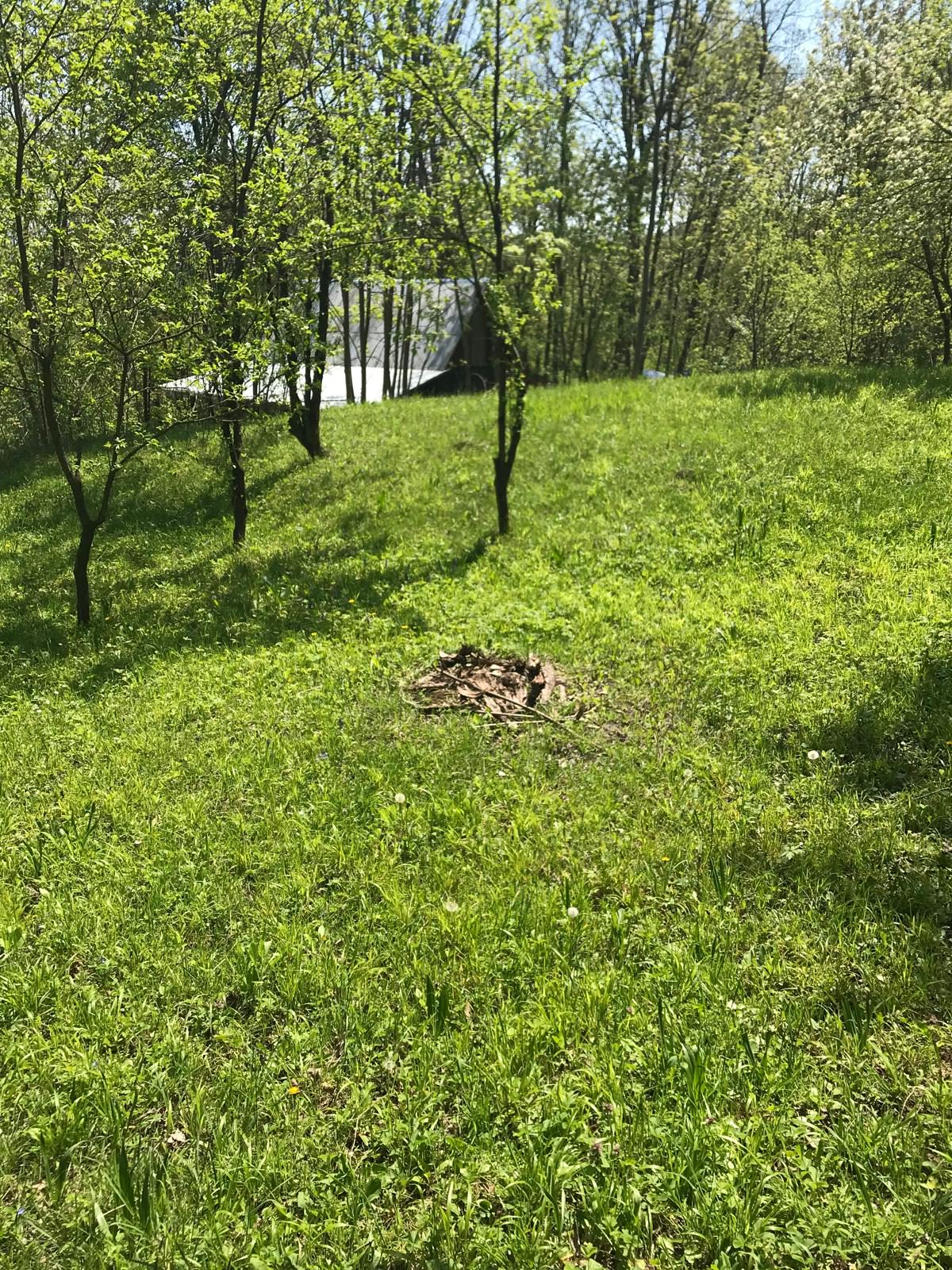 Miniatură 6