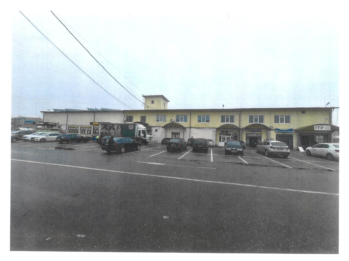 Miniatură 3