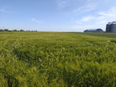 Teren agricol - 10.000 mp