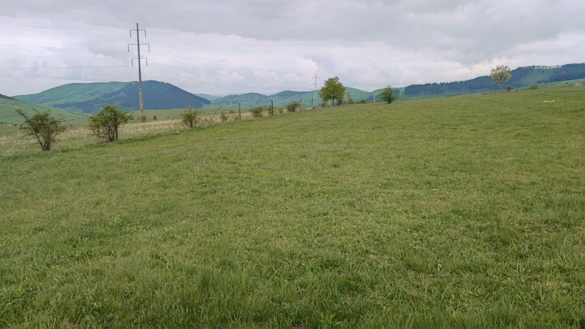 Miniatură 3