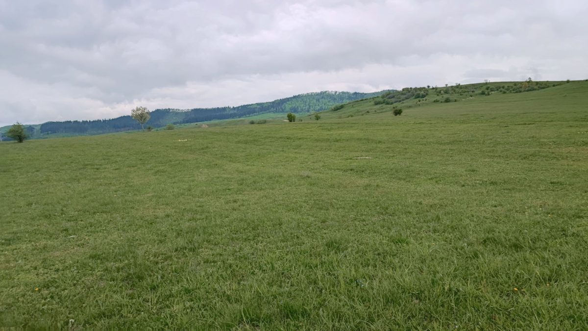 Miniatură 4