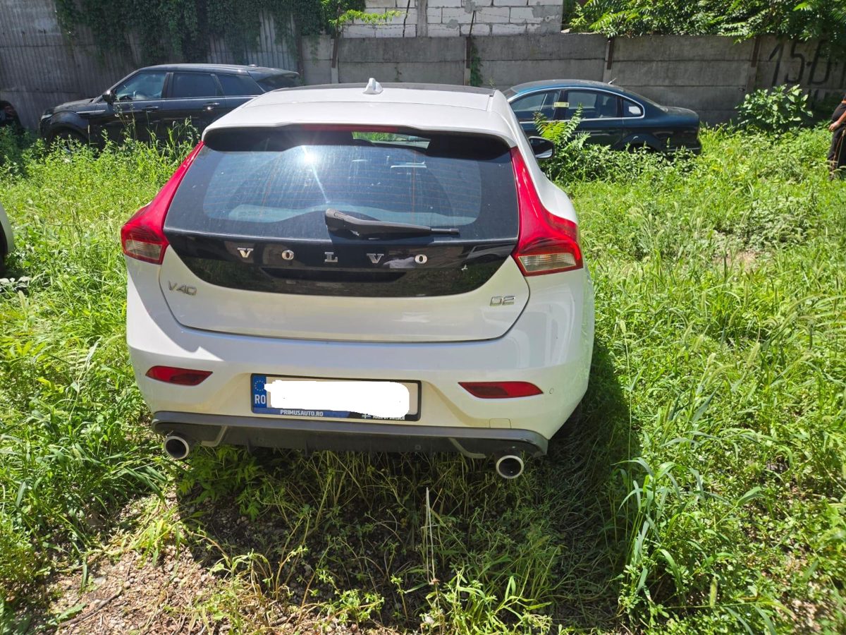 Miniatură 3