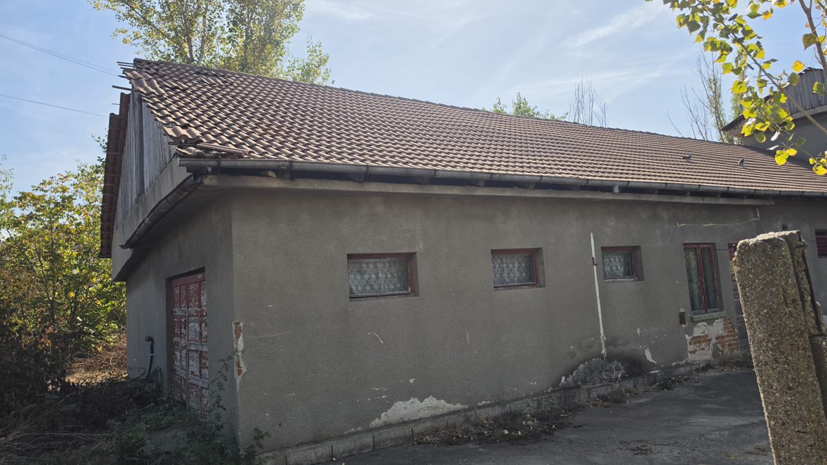 Miniatură 2