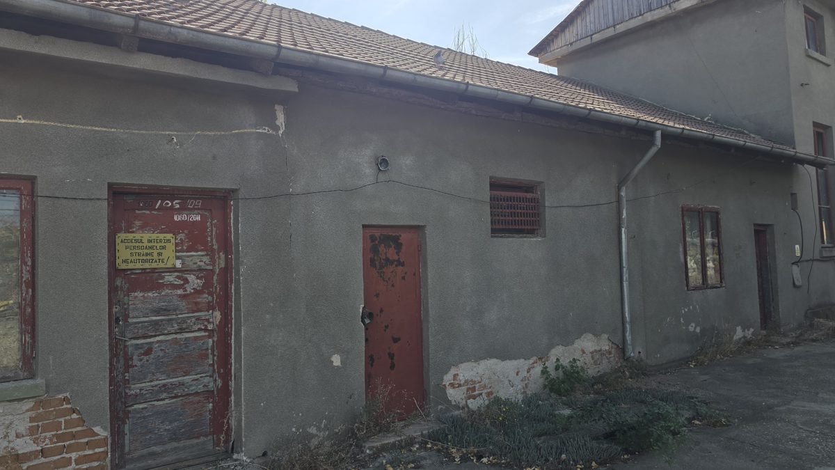 Miniatură 3