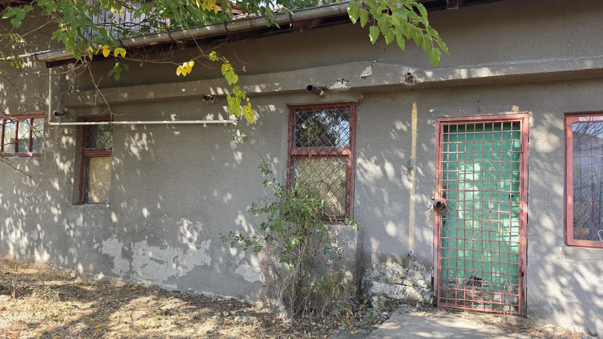 Miniatură 21