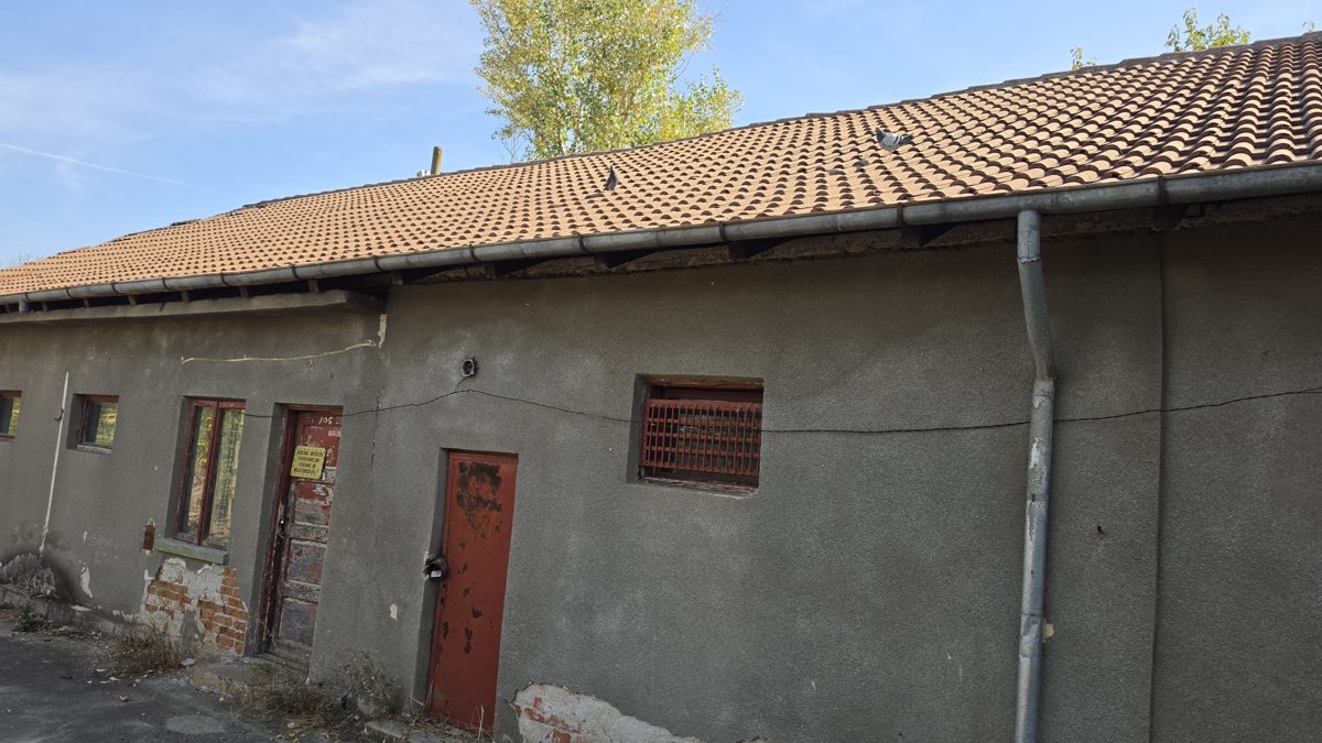 Miniatură 4
