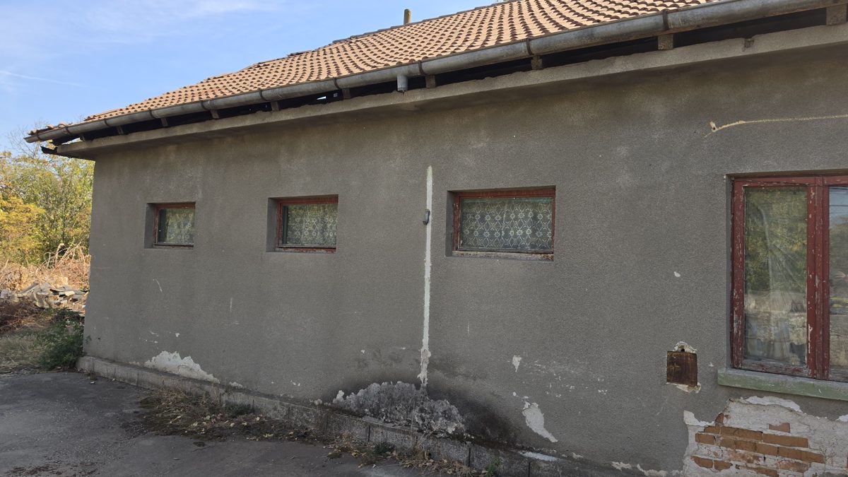 Miniatură 5