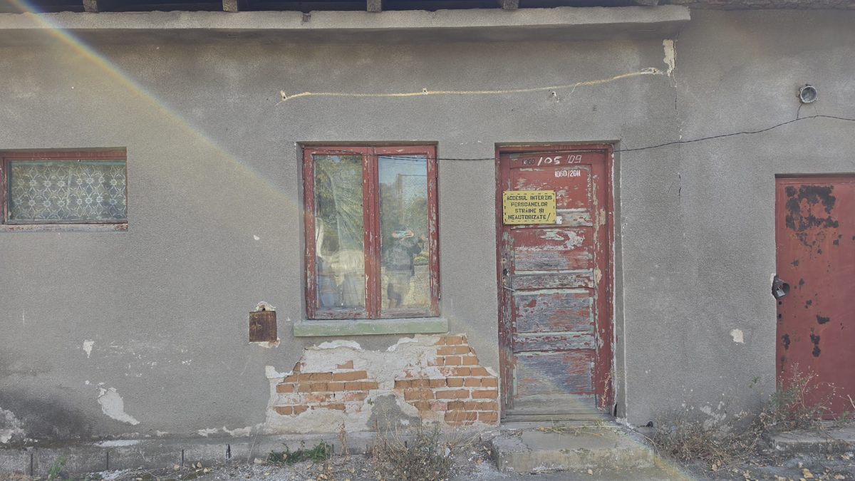 Miniatură 8