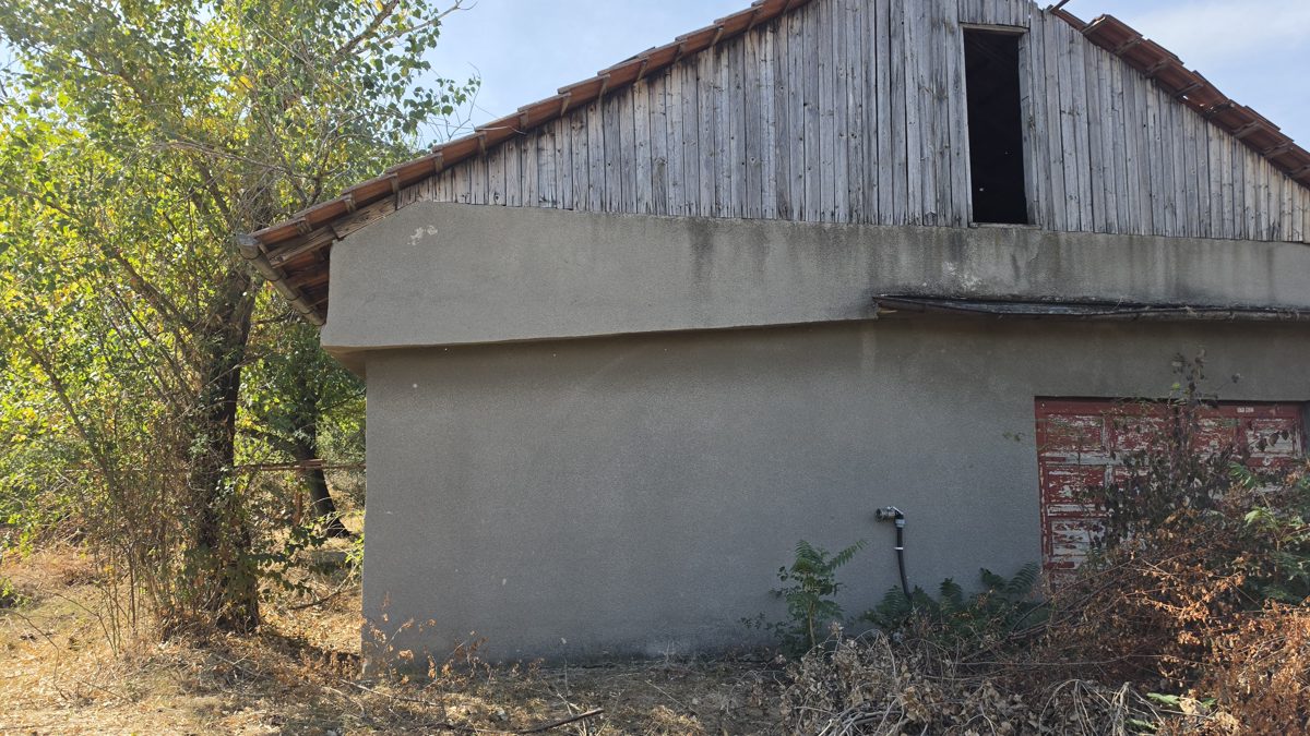 Miniatură 9