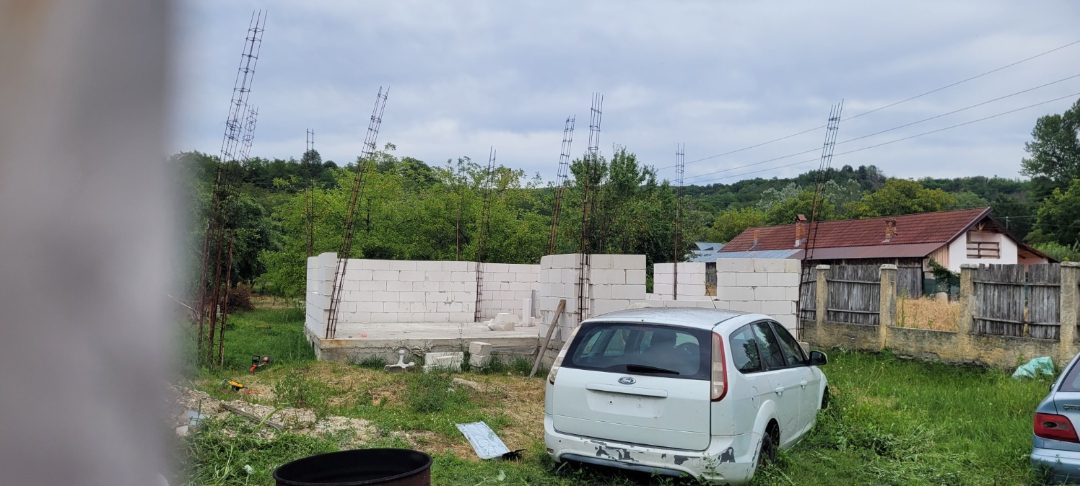 Miniatură 6