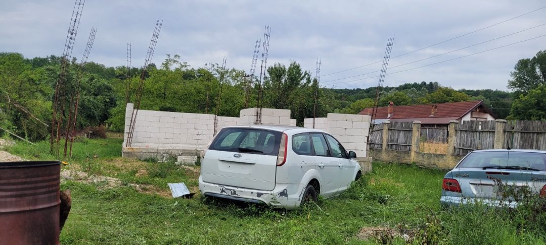 Miniatură 8