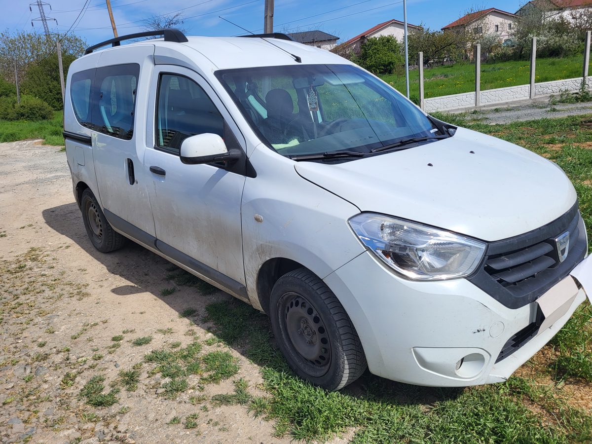 Miniatură 2