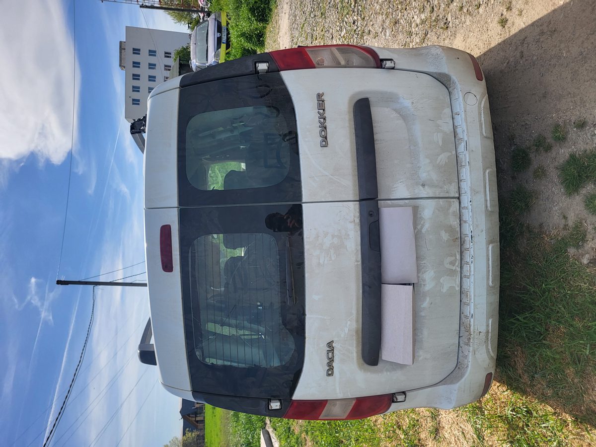 Miniatură 3