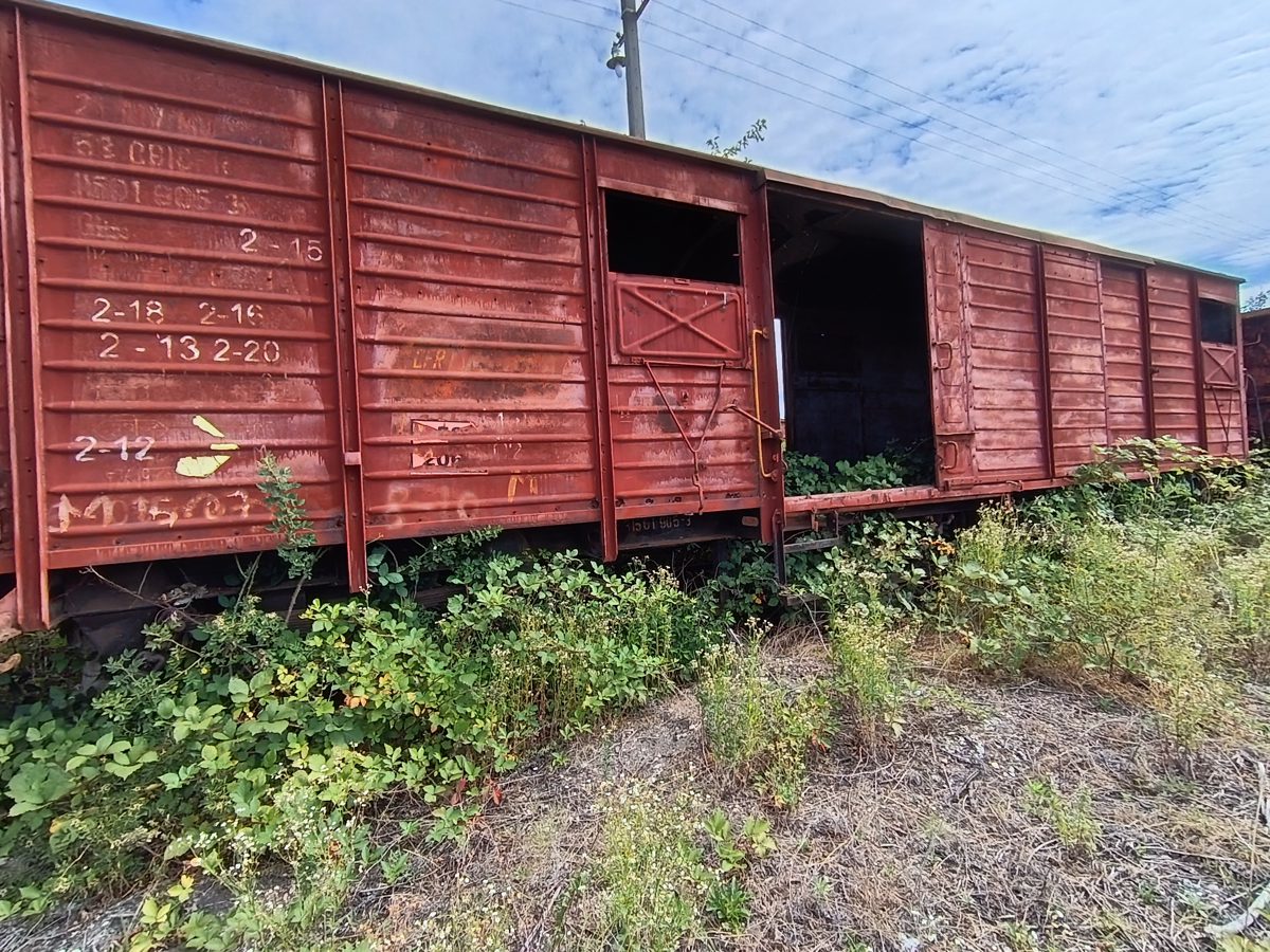 Vagon 215315019053 - Vagon marfa GBS (1984) 1