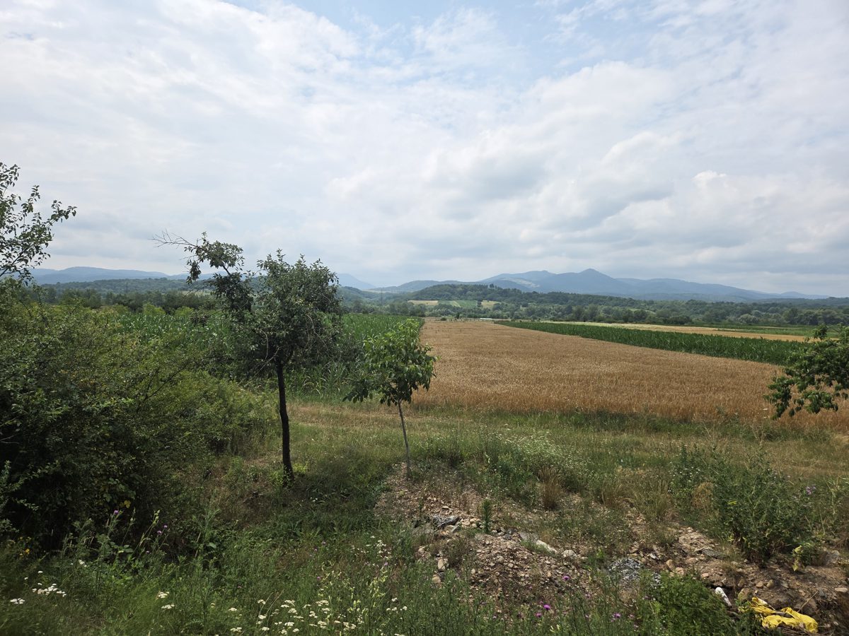 Teren agricol - 1
