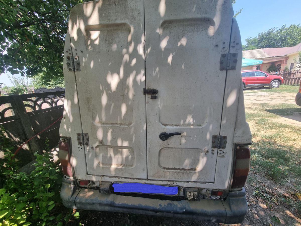 Miniatură 6