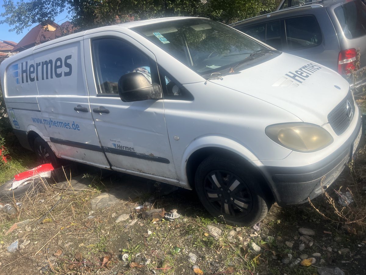 Miniatură 7