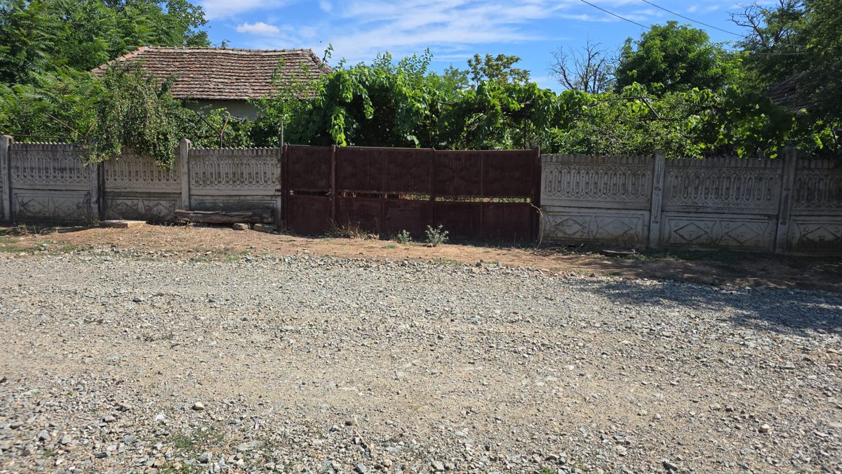 Miniatură 2