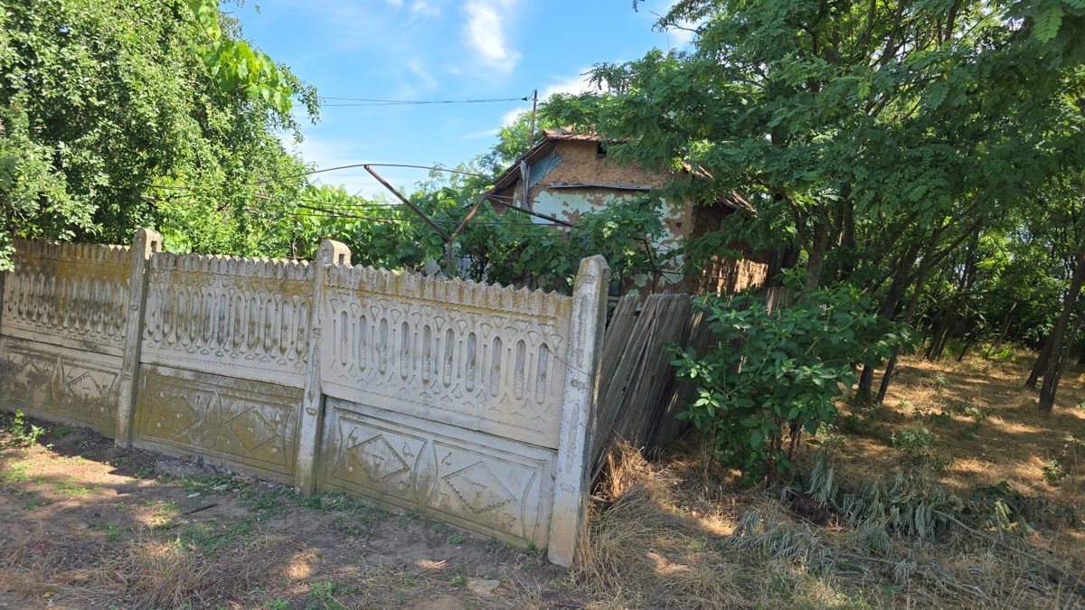 Miniatură 5