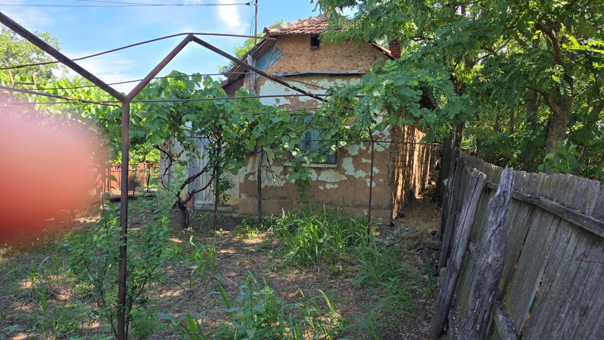 Miniatură 6
