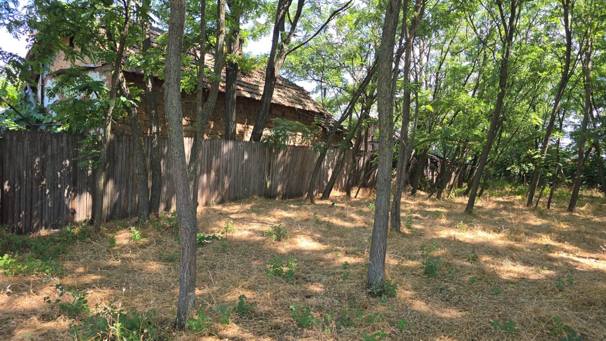 Miniatură 9