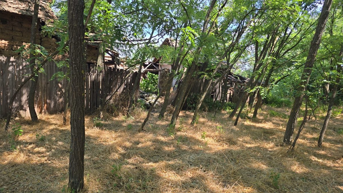 Miniatură 10