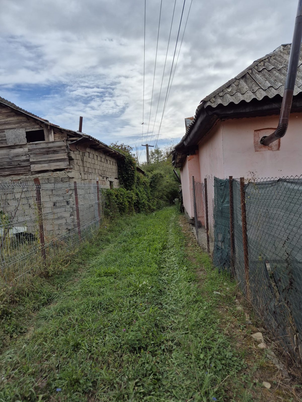 Miniatură 2
