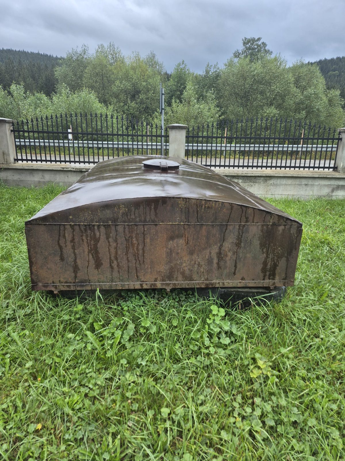 Miniatură 3