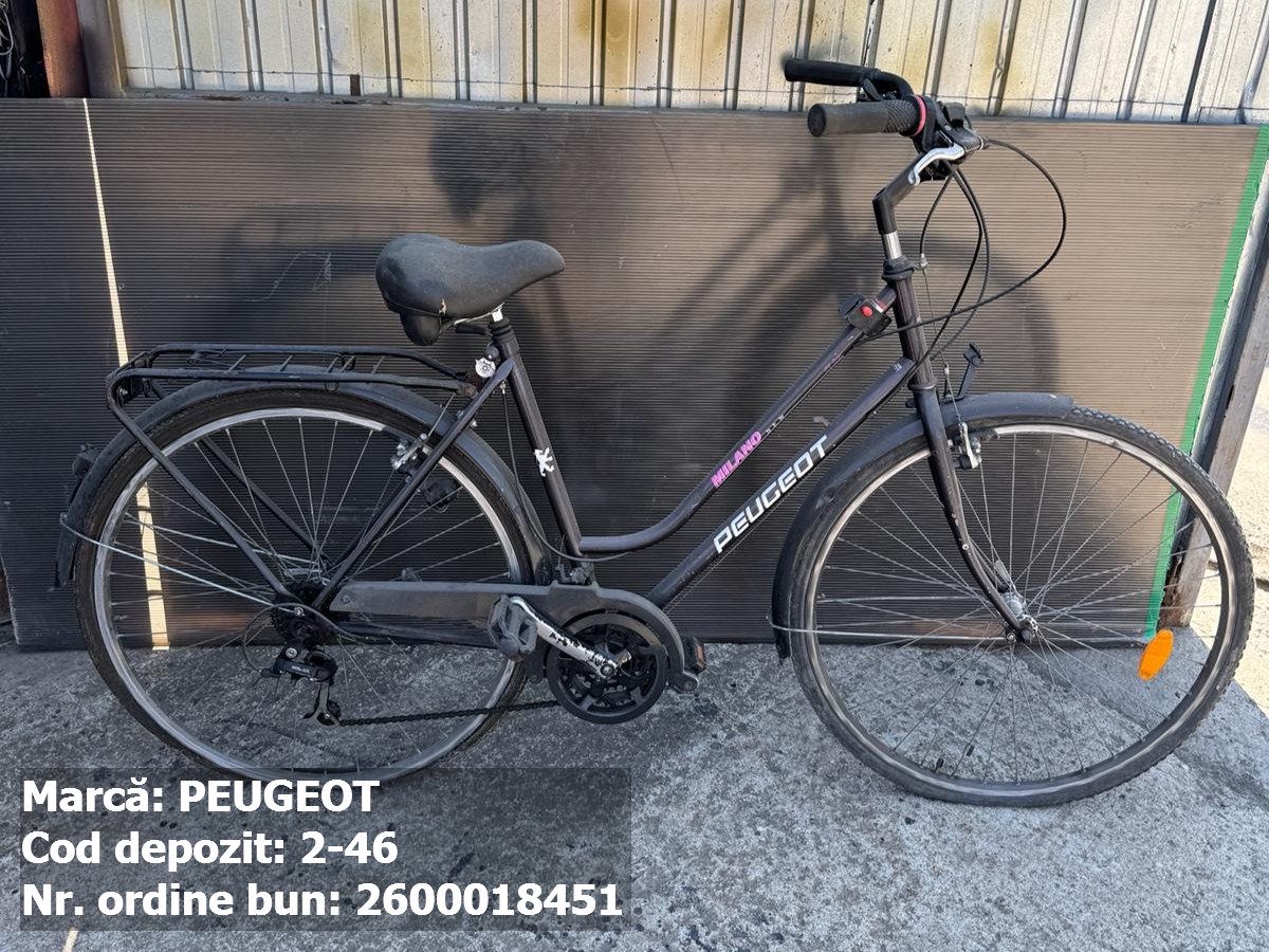 Bicicleta- Peugeot 1