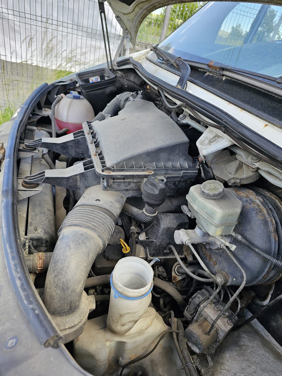 Miniatură 2