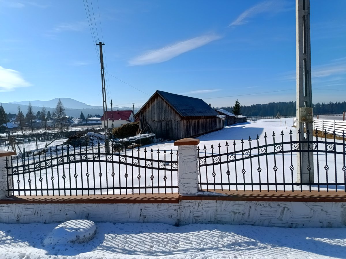 Miniatură 3