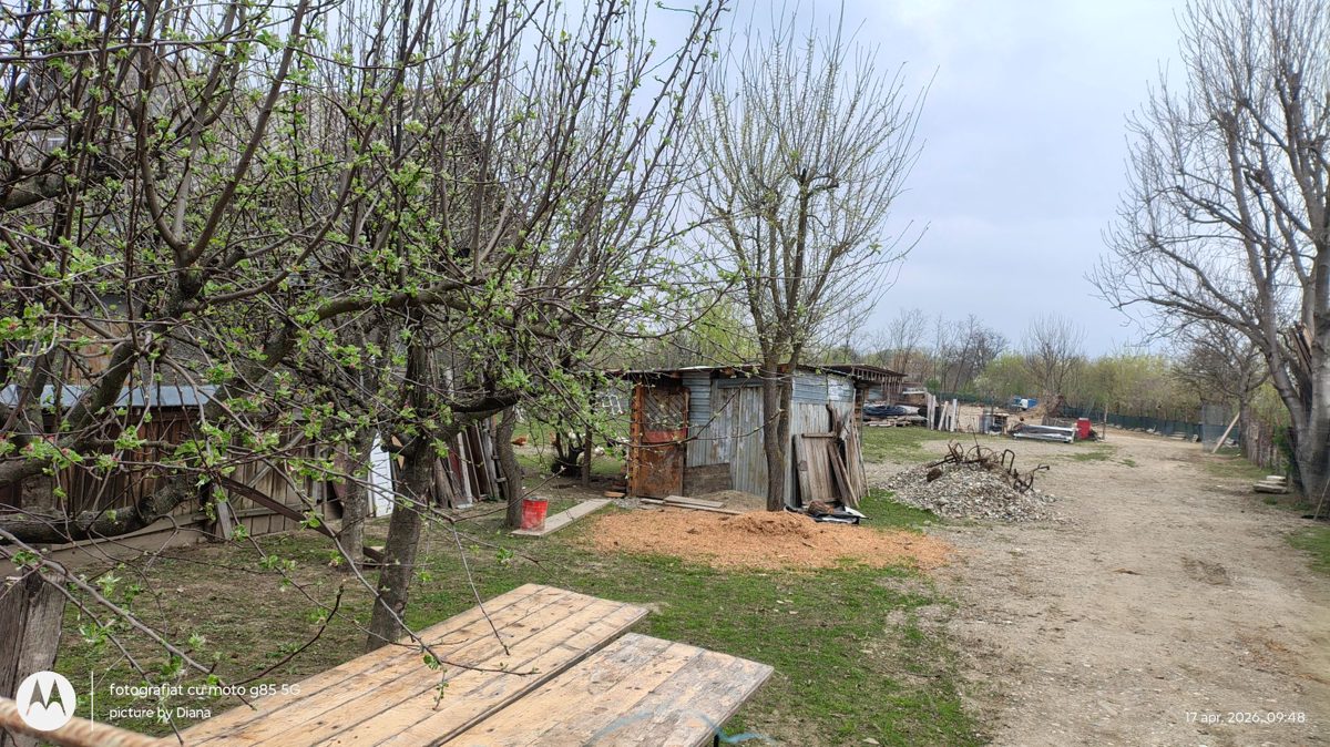 Miniatură 3