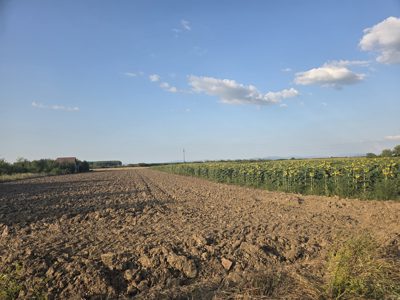 Teren agricol - EXTRAVILAN