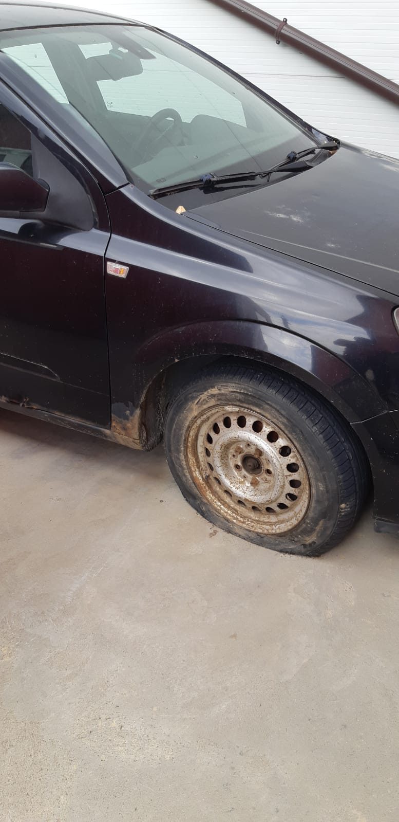 Miniatură 3