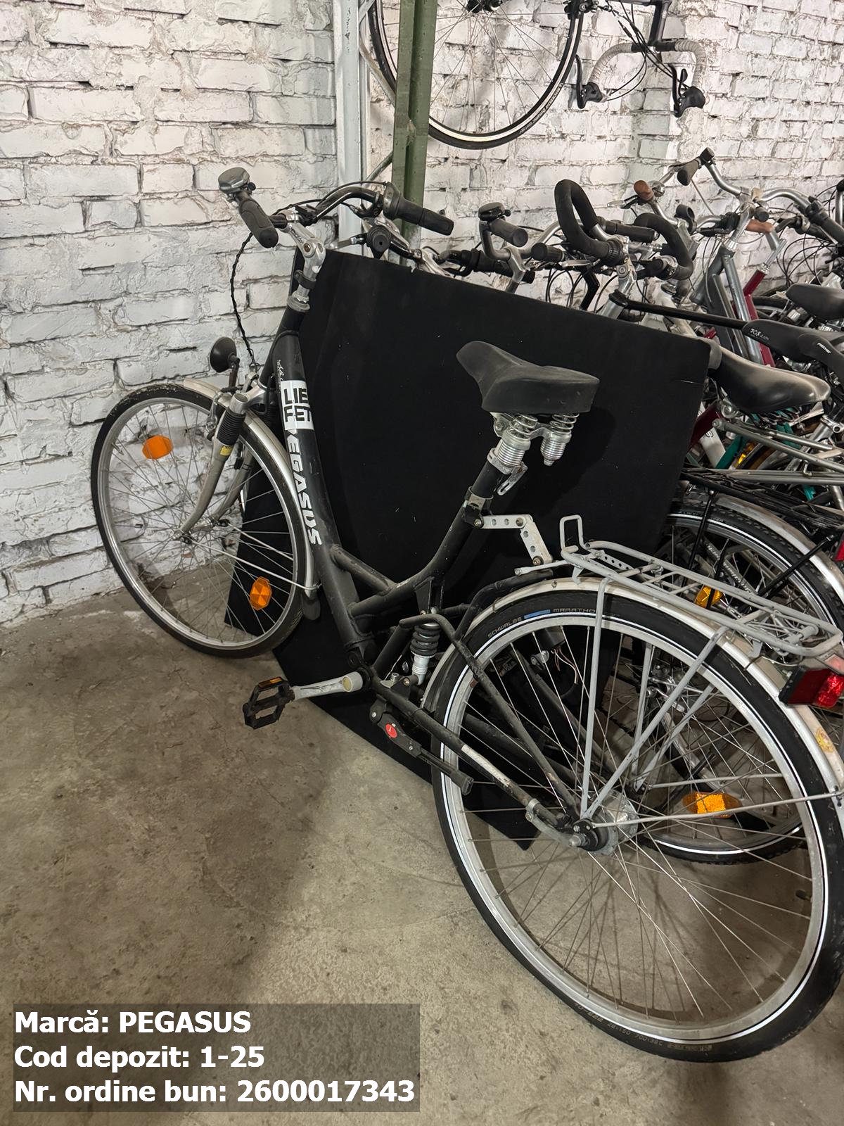 Bicicleta- Pegasus 1