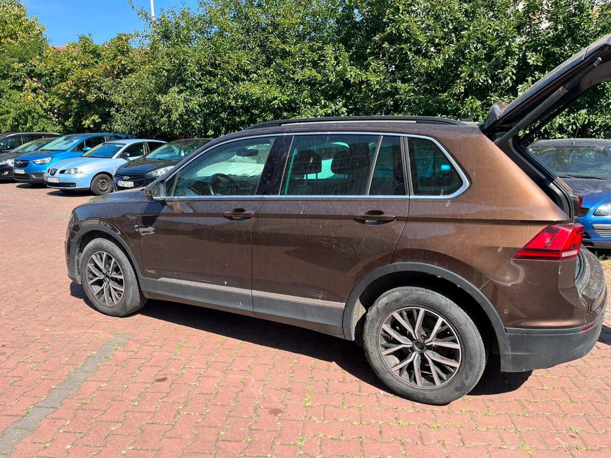 Miniatură 4