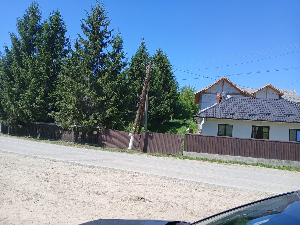 Miniatură 3