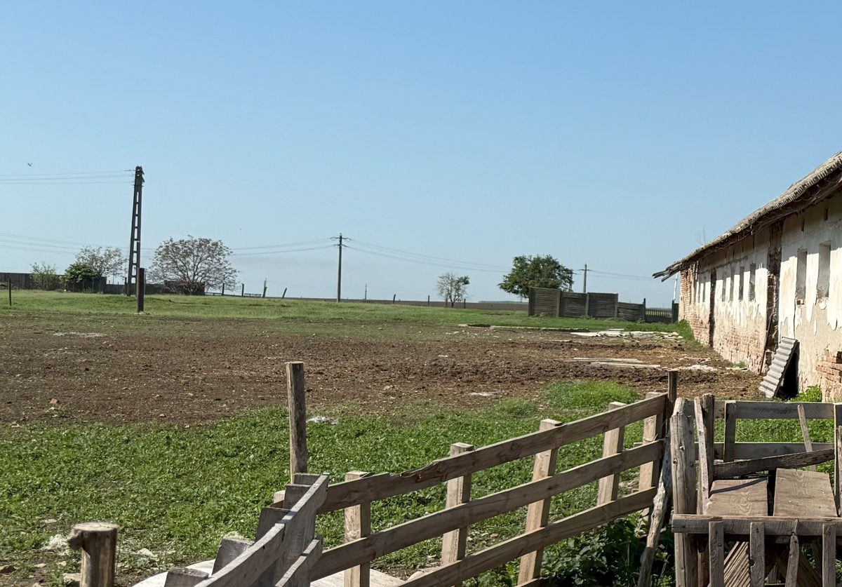 Teren construibil - in suprafata de 2623 MP 1
