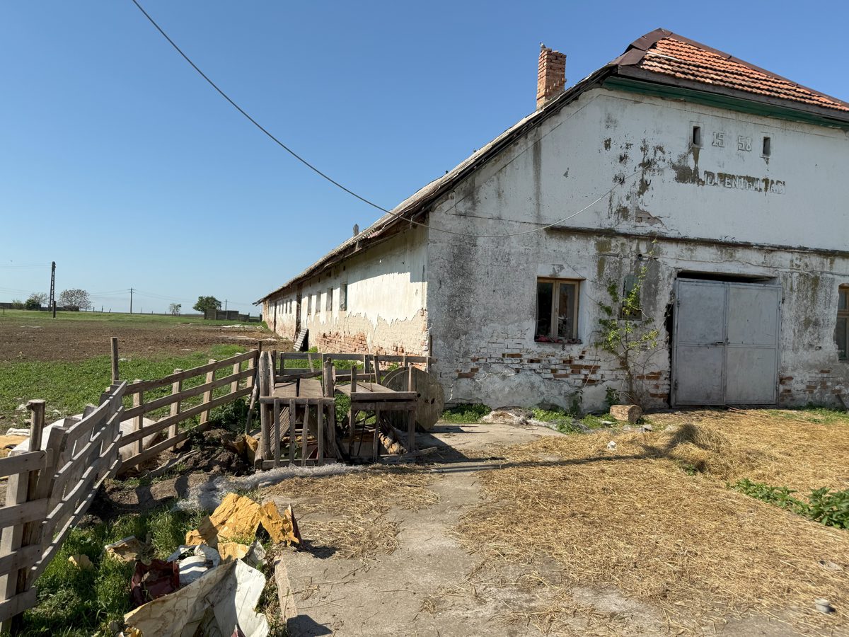 Miniatură 2